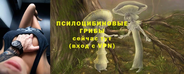 spice Алзамай